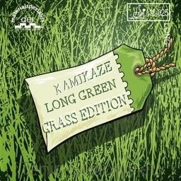 Large_der-materialspezialist-tischtennisbelag-kamikaze-long-green-grass-lange-noppe-1_600x600