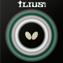 Butterfly " Ilius S "